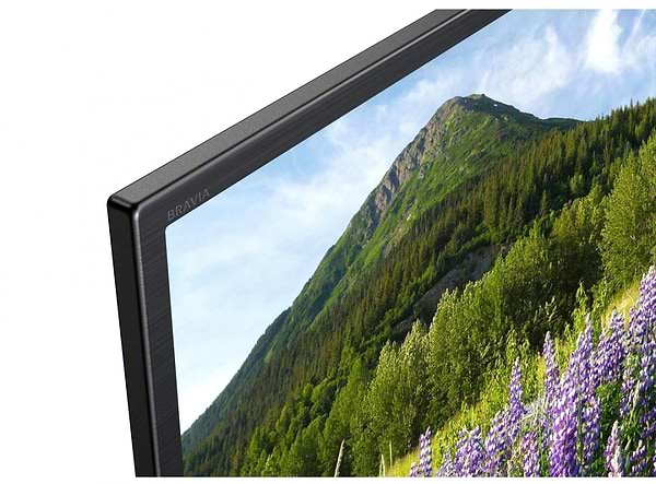 Фото - Телевизор Sony KD49XF7005BR