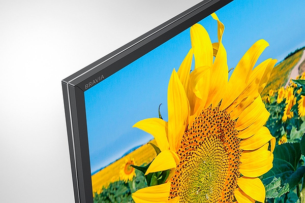 Фото - Телевизор Sony KD55XF8096BR2