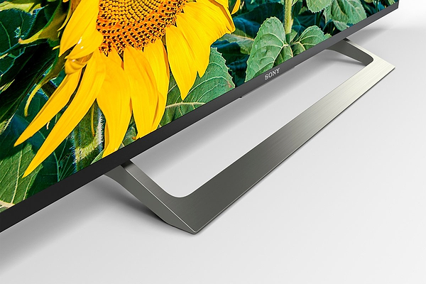Фото - Телевизор Sony KD55XF8096BR2