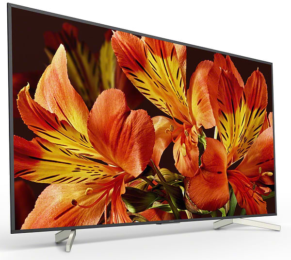 Фото - Телевизор Sony KD55XF8596BR2