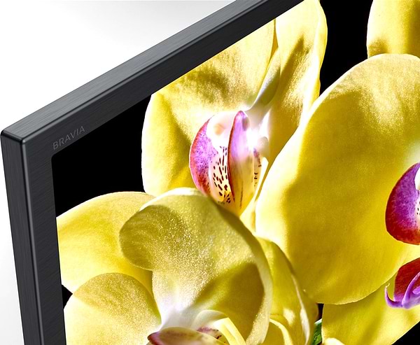 Фото - Телевизор Sony KD65XG8096BR2