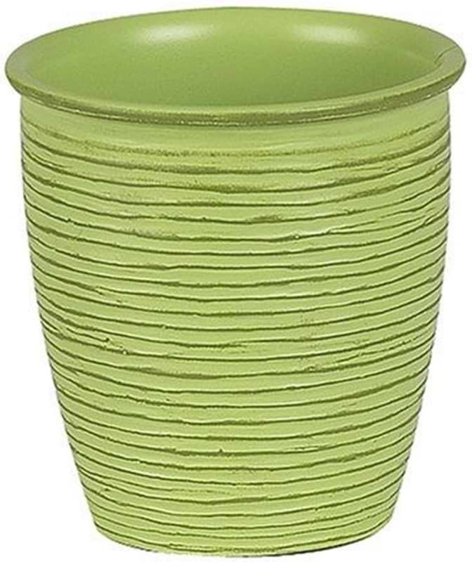 Органайзер для ванної кімнати Spirella DARWIN зелений (10.10525)