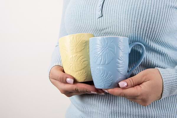 Фото - Чашка Limited Edition SPRIG 340 мл в ассортименте (MCO24-4)