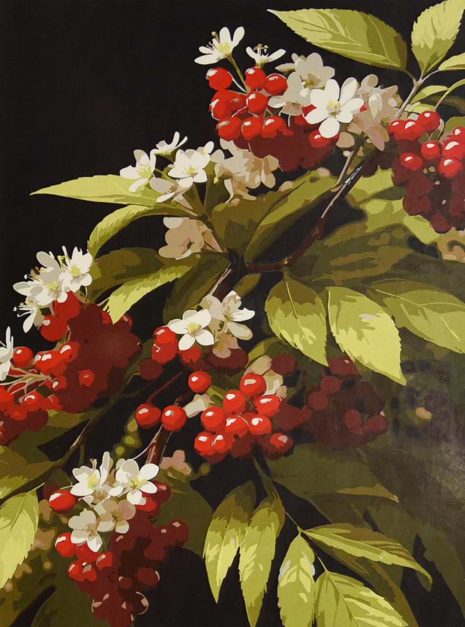 Фото - Картина по номерам Strateg Калиновая ветвь 30х40 (SS-1325)