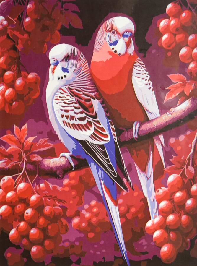 Картина по номерам Strateg Дуэт в ягодном саду 30х40 (SS-1352)