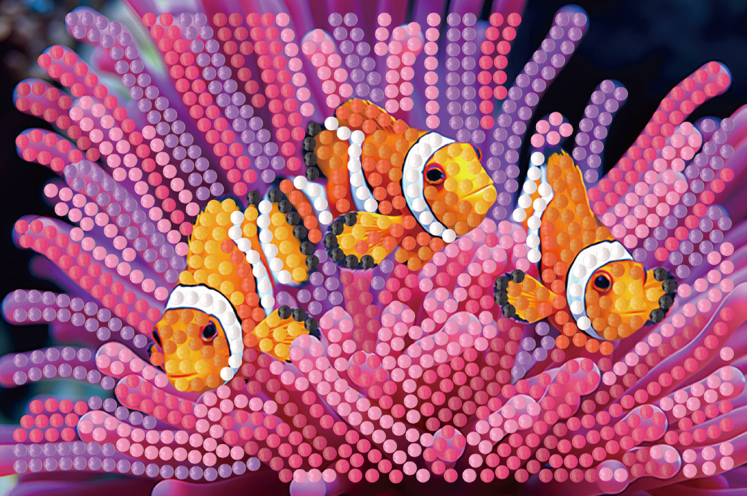 Алмазний живопис Strateg Риби-клоуни 10х15 (YJB1015-02)