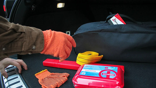 Фото - Набор для авто Poputchik Fiat черная 2 отдела (01-048-IS)