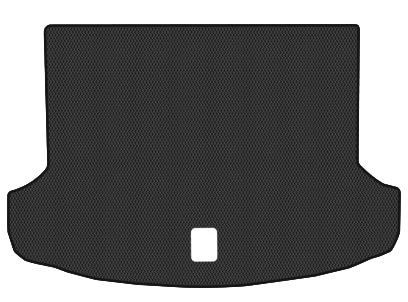 EVA килимок в багажник авто EVAtech для EV6 Skyworth 2021 1 покоління SUV China (SW42129B1RBB)