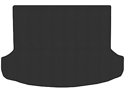 EVA килимок в багажник авто EVAtech для EV6 Skyworth 2021 1 покоління SUV China (SW42129BO1RBB)