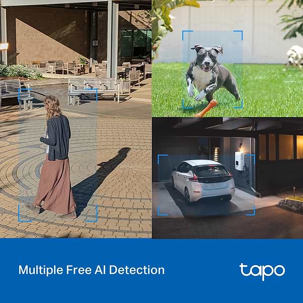 Фото - IP-камера TP-Link Tapo C520WS
