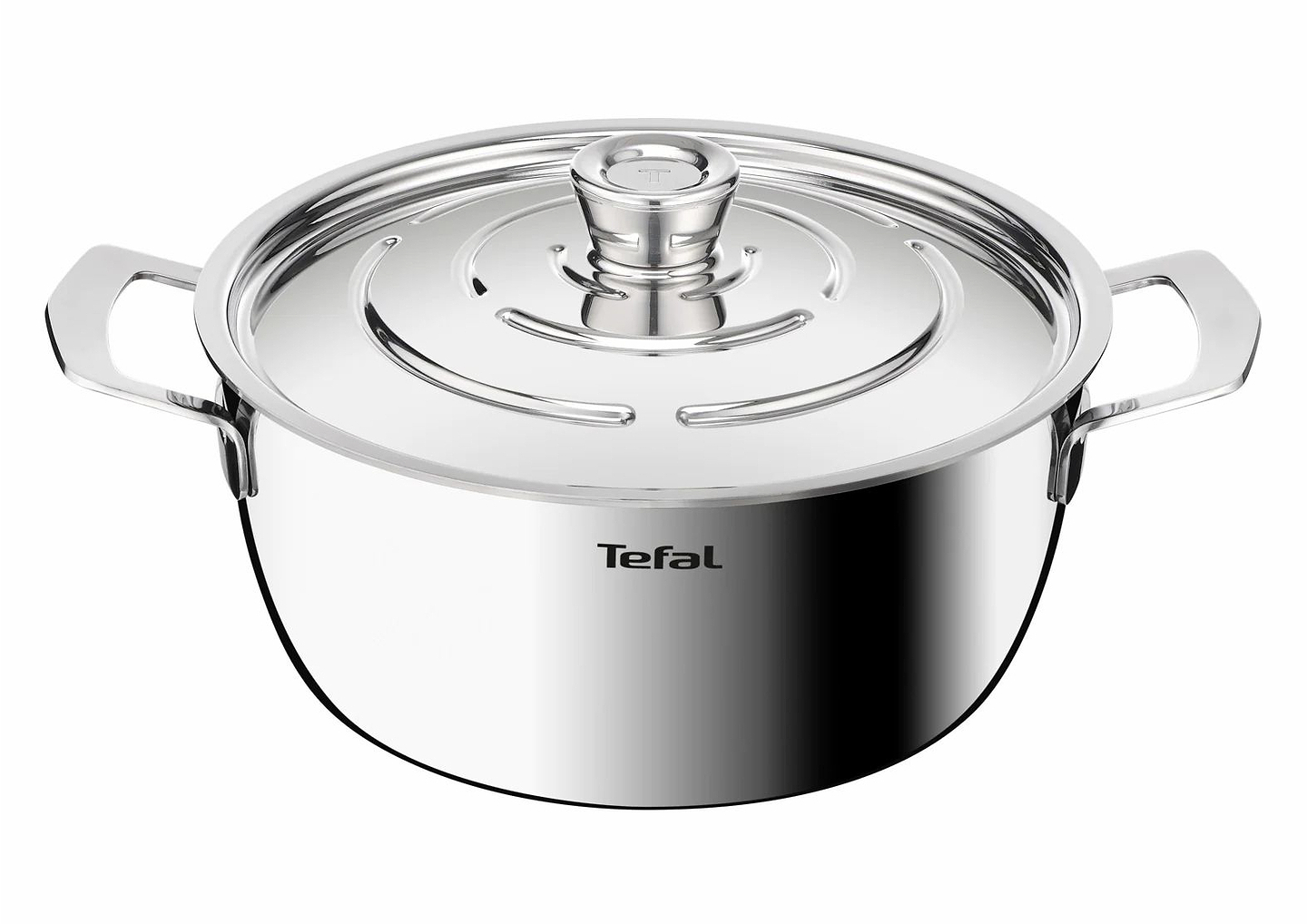 Кастрюля Tefal E3394655 Emotion+ Gourmet 24 см (4,4 л) с кр.