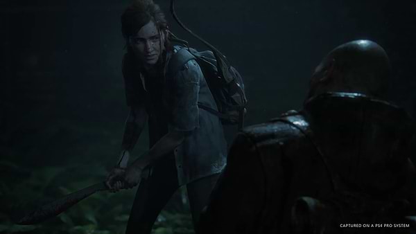 Фото - Игровой диск PS4 THE LAST OF US PART II [BLU-RAY ДИСК]