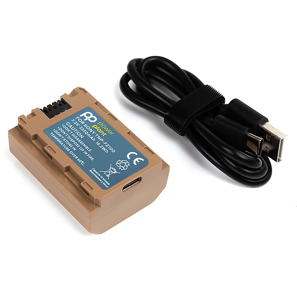 Фото - Акумулятор для фотокамери PowerPlant Sony TNP-FZ100 2250mAh з кабелем Type-C (CB970872)