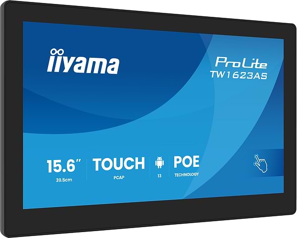 Фото - Монітор IIYAMA TW1623AS-B3P