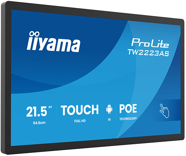 Фото - Монітор IIYAMA TW2223AS-B3P