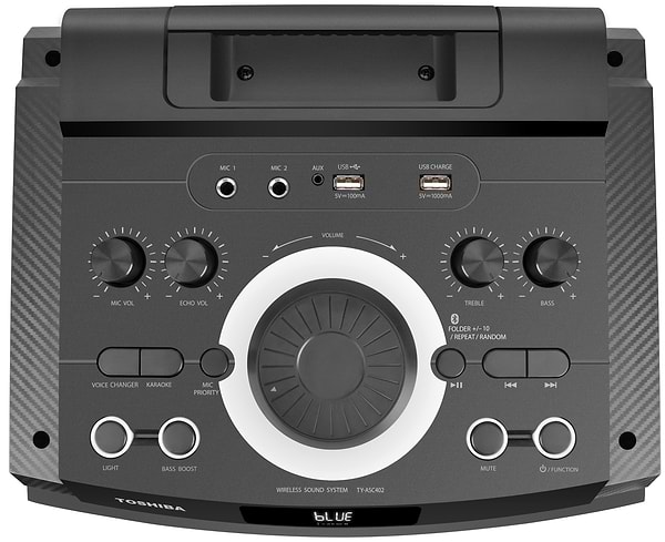 Фото - Акустическая система Toshiba TY-ASC402