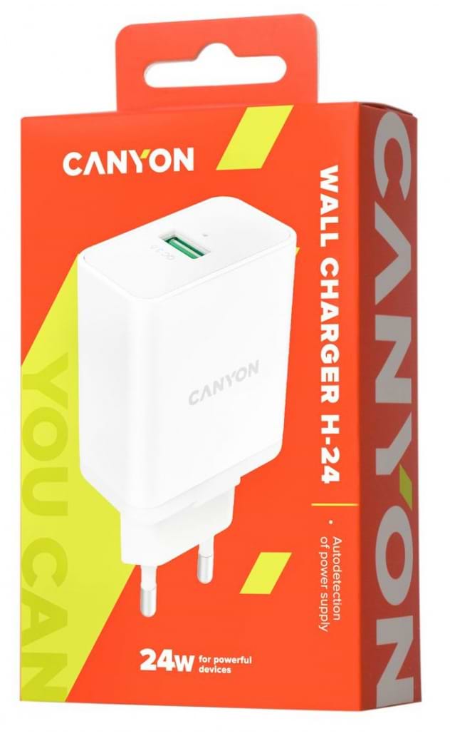 Мережевий зарядний пристрій Canyon CNE-CHA24W