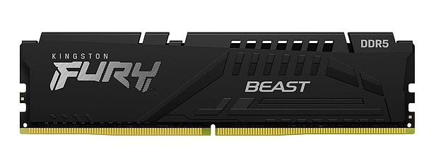 Фото - Память DDR Kingston DDR5 16GB 5600 MHz Fury Beast Black (KF556C36BBE-16)