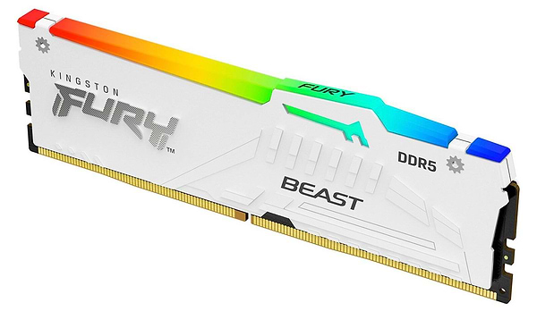 Фото - Память DDR Kingston Fury 16 GB DDR5 5600 MHz Beast RGB EXPO (KF556C36BWEA-16)