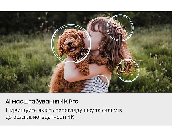 Фото - Телевизор Samsung QE42S90FAEXUA