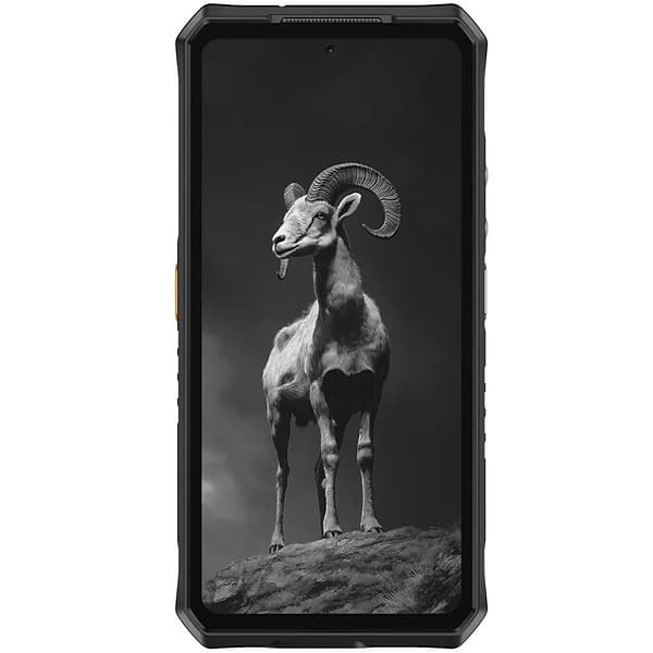 Фото - Смартфон Ulefone Armor 28 Pro 16/512Gb NFC Black