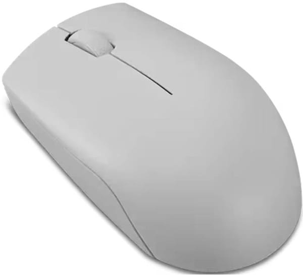 Фото - Миша бездротова Lenovo 300 Wireless Mouse (GY51L15678) Arctic Grey
