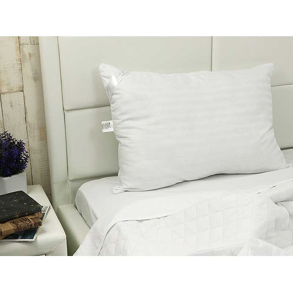 Фото - Набір подушок стандартних Руно 50х70 см зі штучного пуху LUX 2 шт. (К_Н310LUX)