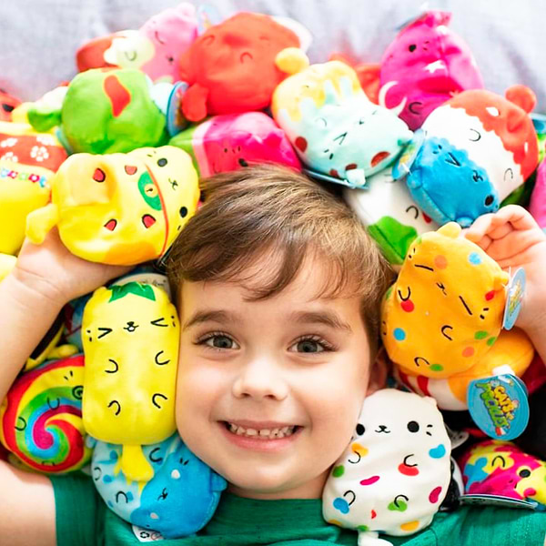 Фото - М'яка іграшка-сюрприз Cats Vs Pickles Dogs vs Squirls серії «CHONK» – СОБАЧКИ ТА БІЛОЧКИ (в асорт., в диспл.) (V2042-18)