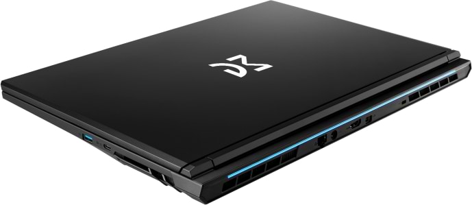 Фото - Ноутбук ігровий Dream Machines CI7-13620H (RG5050-17UA28) Black