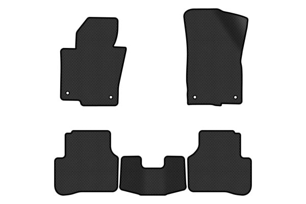 Фото - Килимки з екошкіри в салон авто EVAtech ECO для Passat (B6) (with armrest) Volkswagen 2005-2010 6 покоління Combi EU VW3263CP5AV4BBB