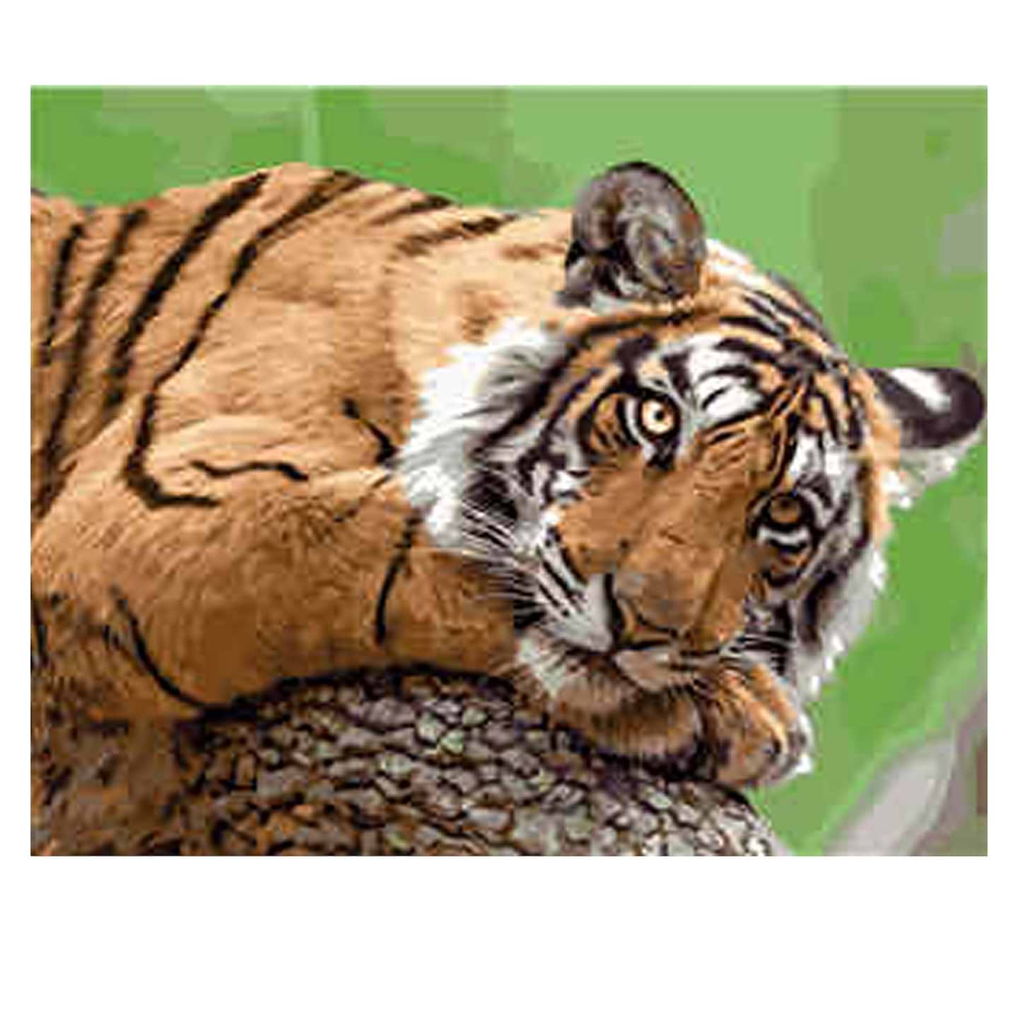 Картина по номерам Strateg Замечтанный тигр 40х50 см (VA-1905)