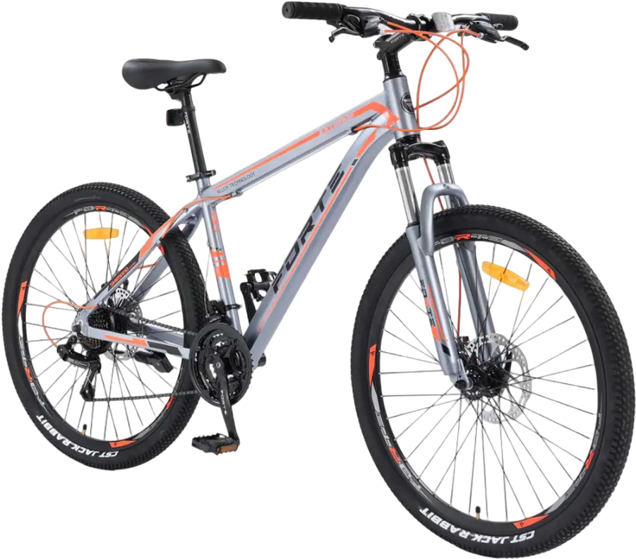 Двухколёсный велосипед Forte FIGHTER 12"/24" Gray