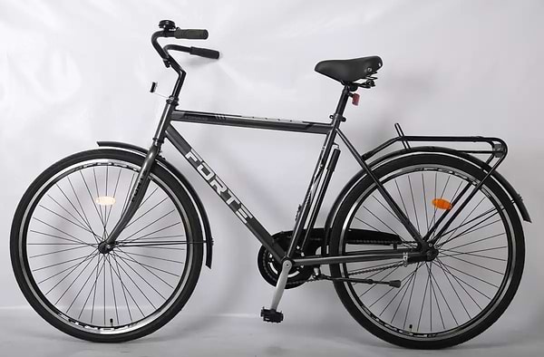 Фото - Двухколёсный велосипед Forte FORWARD 22"/28" Gray