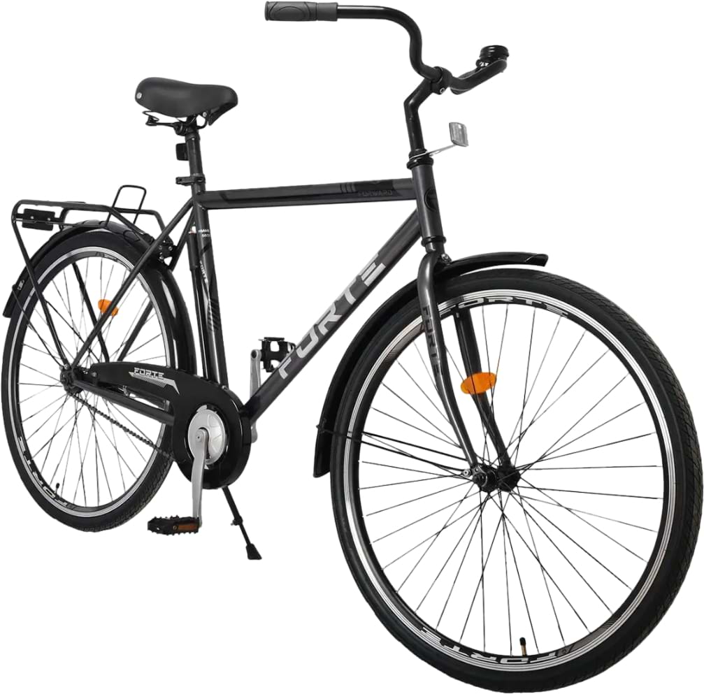 Двухколёсный велосипед Forte FORWARD 22"/28" Gray