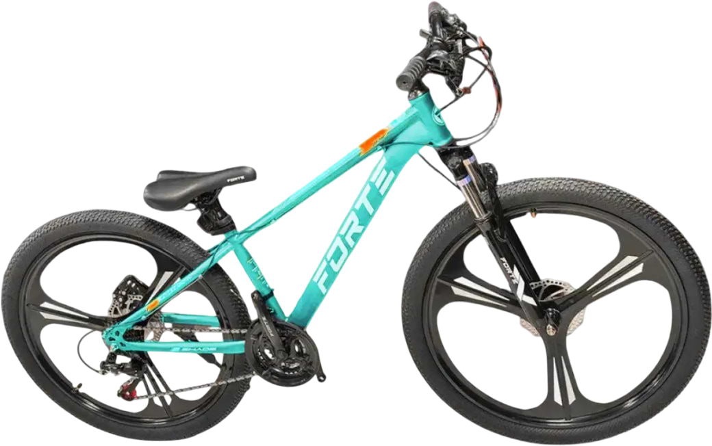 Двухколёсный велосипед Forte SHADE 25.2613-05S Green