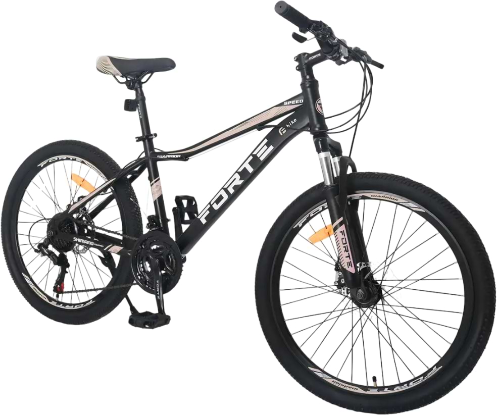 Двухколёсный велосипед Forte WARRIOR 25.2613-12S Black