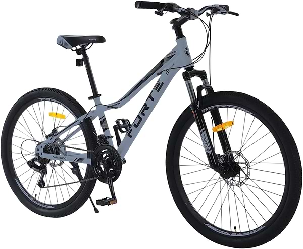 Фото - Двухколёсный велосипед Forte WARRIOR 25.2613-07A к26" р13" Gray