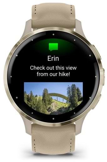 Фото - Смарт-годинник Garmin Venu 3S Fr. Gray + Soft Gold (010-02785-55)