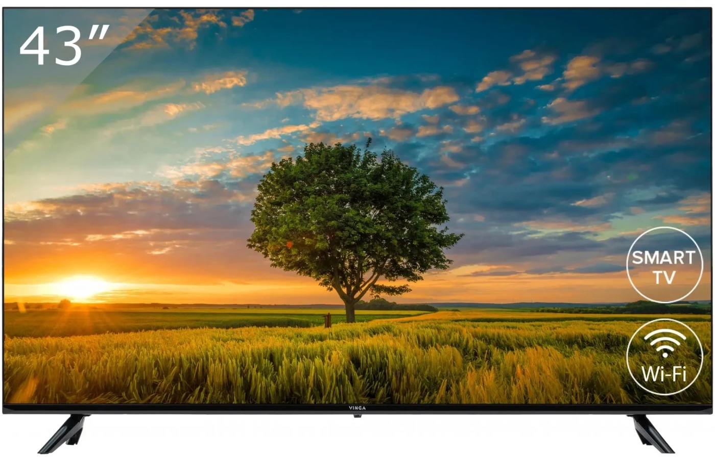 Телевизор Vinga LED S43FHD25B