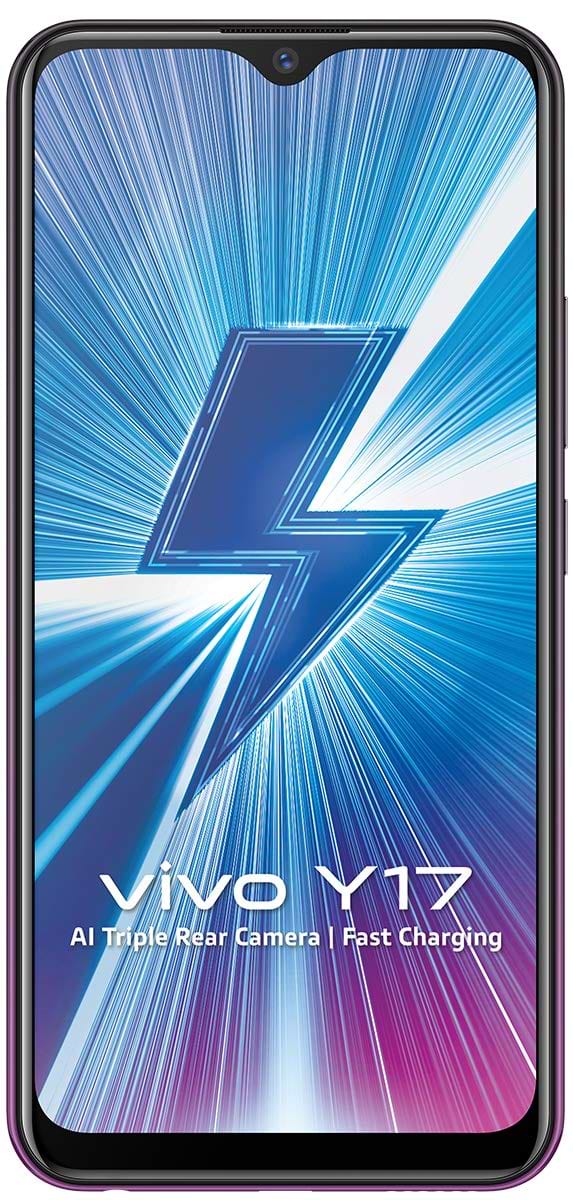 Фото - Смартфон vivo Y17 4/128Gb Mystic Purple