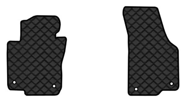 Килимки з екошкіри в салон авто передні EVAtech ECO для Passat NMS Volkswagen 2010-2015 1 покоління Sedan USA VW1693AS2AV4BBB