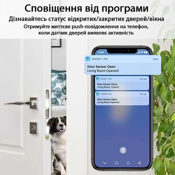 Фото - Беспроводной датчик открытия двери/окна Action Tuya WD002 (WD002/MC400A)