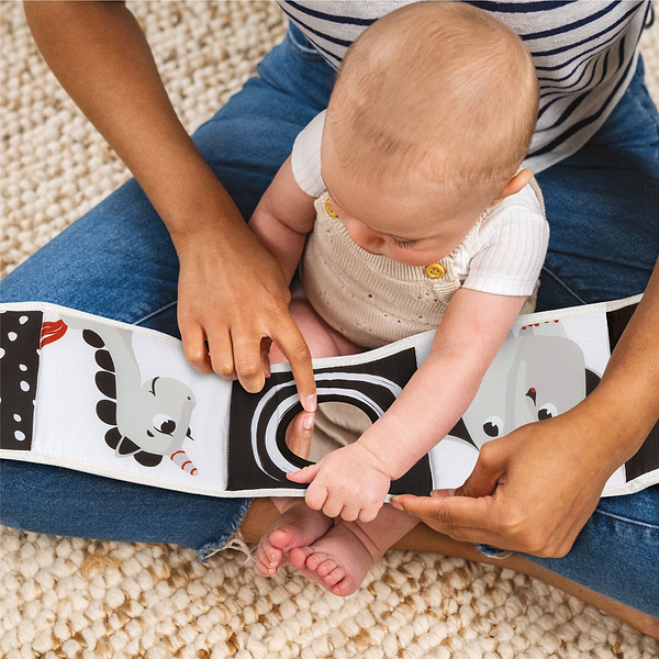 Фото - Книжка-игрушка Tiny Love Born to Party (1602000030)