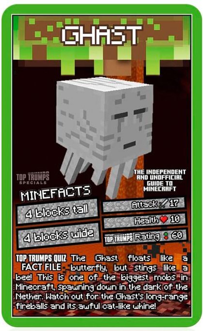 Фото - Настільна гра (5-7 років) Minecraft Quiz - The Independent and Unofficial Guide (WM01279-EN1-6)