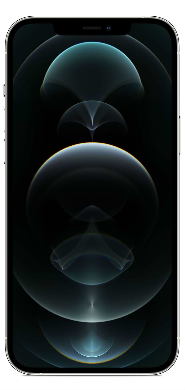 Фото - Смартфон Apple iPhone 12 Pro Max 128Gb Silver