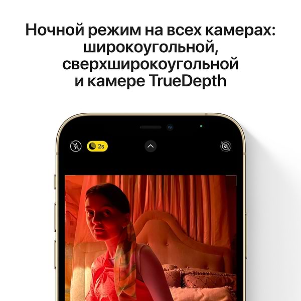 Фото - Смартфон Apple iPhone 12 Pro Max 256Gb Silver (Восстановленный, Идеальное состояние)
