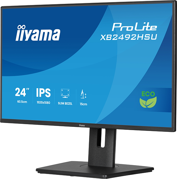Фото - Монітор IIYAMA XB2492HSU-B1