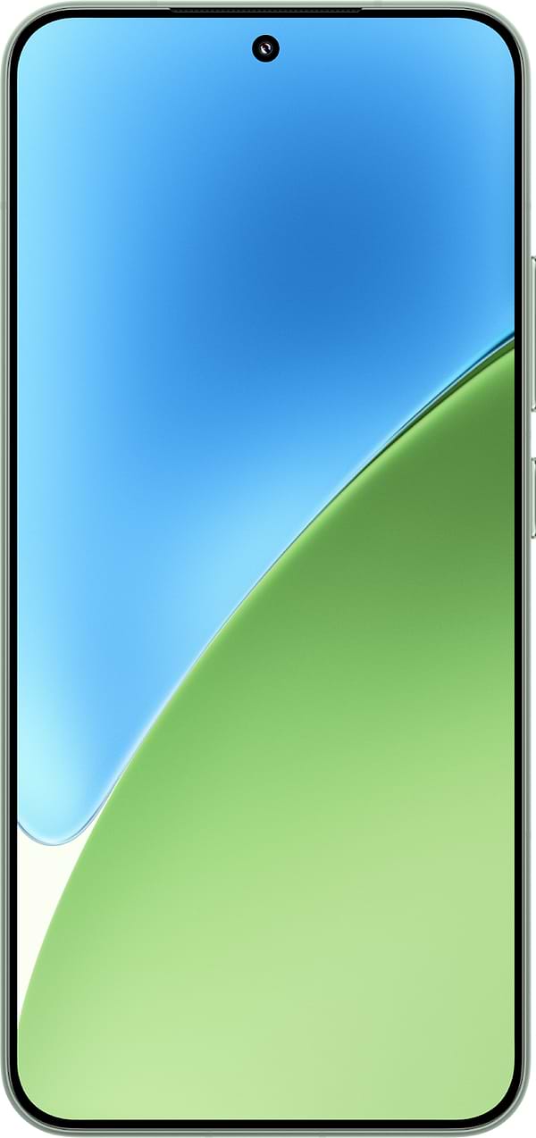Фото - Смартфон Xiaomi 15 12/512Gb Green