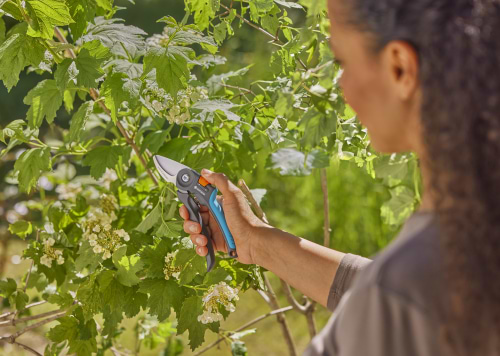 Фото - Ножиці садові Gardena PremiumCut Fresh Wood обвідний 22 мм (12241-20.000.00)