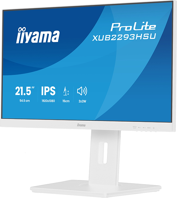 Фото - Монітор IIYAMA XUB2293HSU-W7